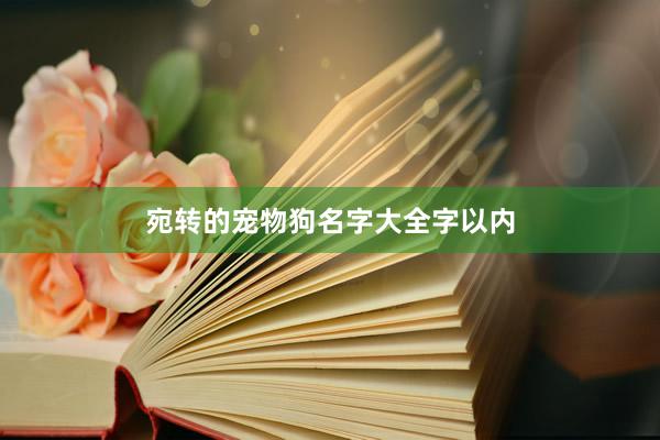 宛转的宠物狗名字大全字以内